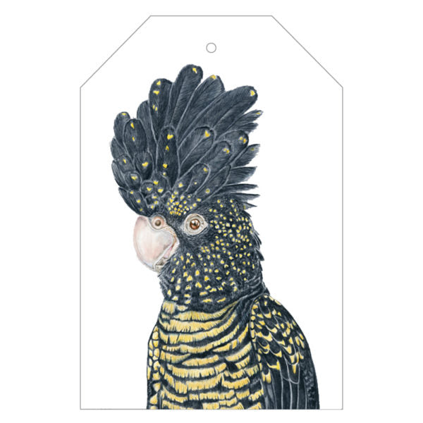 red-tailed black cockatoo australian bird gift tag with twine string on green background