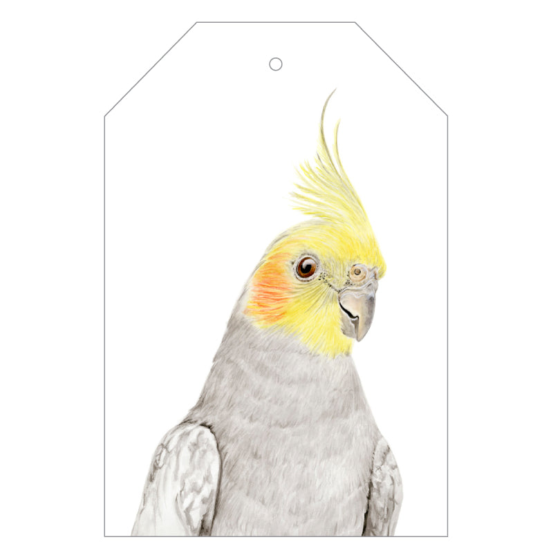 cockatiel australian bird gift tag with twine string on green background
