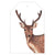 Wild Animals Gift Tags Pack