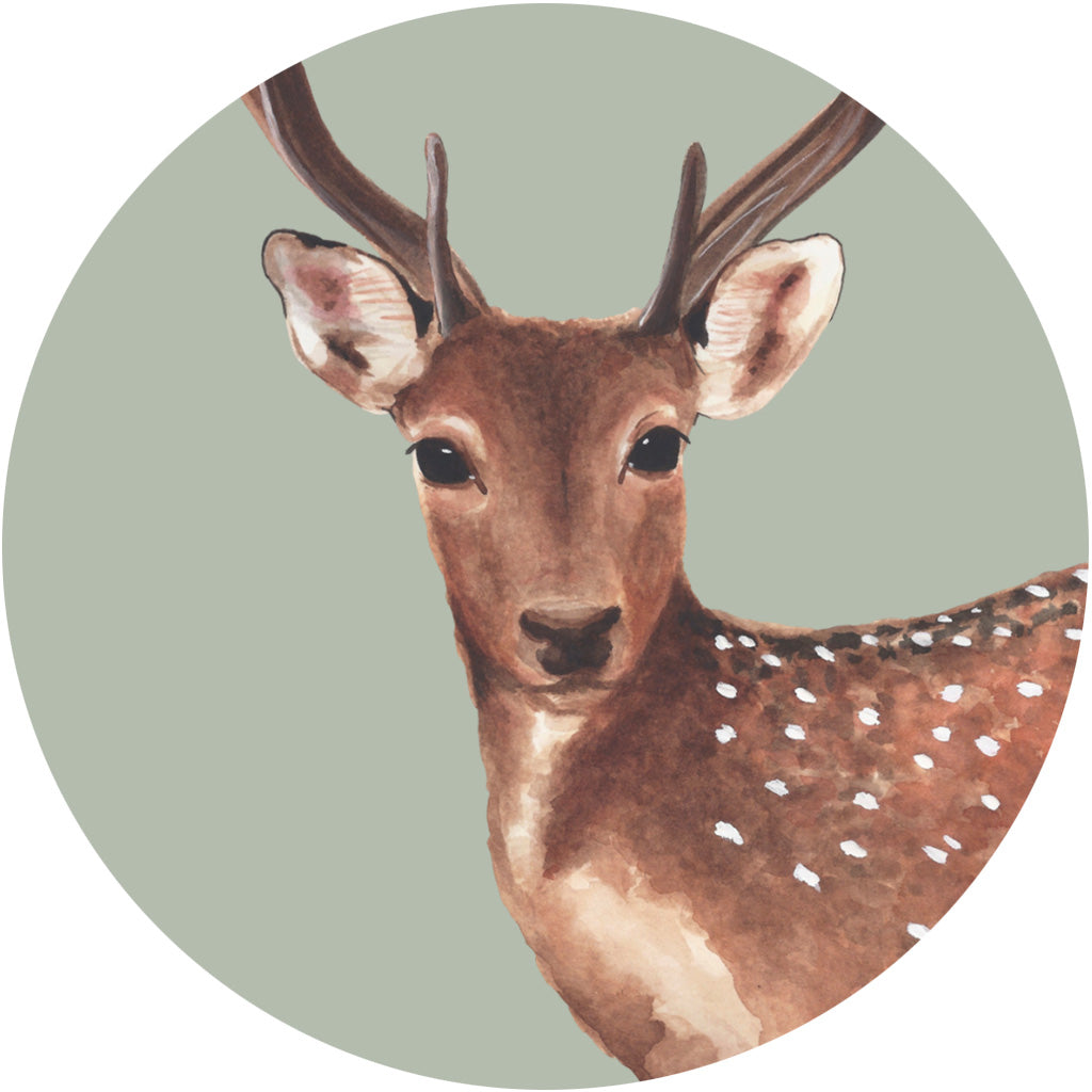 Dotty the Deer