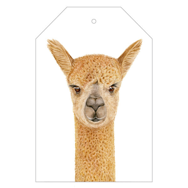 alpaca wild animal gift tag with twine string on mustard background