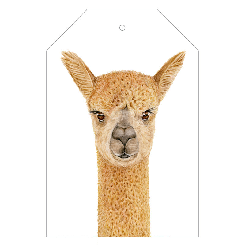 Wild Animals Gift Tags Pack