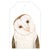 australian barn owl painted on gift tag with twine string on green background