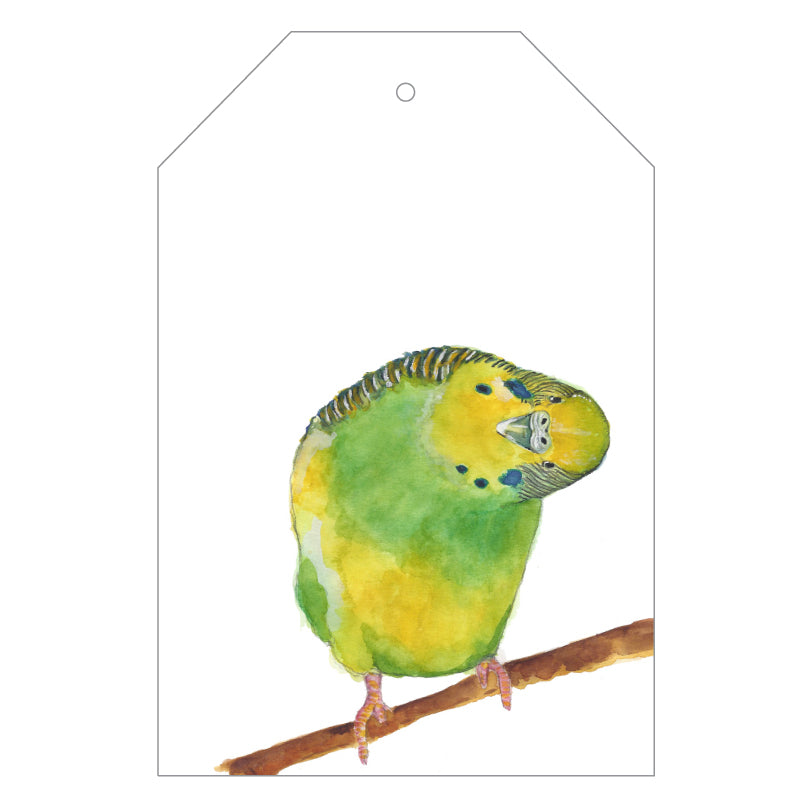 green and yellow budgie on branch painted with watercolour gift tag with twine string on green background