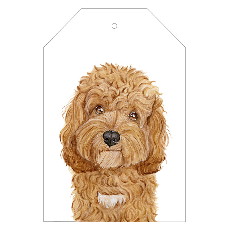 cavoodle dog gift tag with twine string on blue background