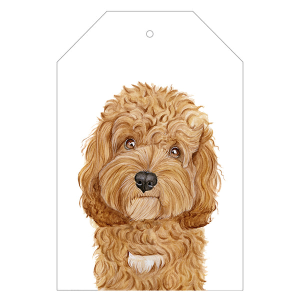Cavoodle gifts deals