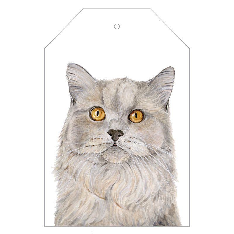 Otto the British Short Hair Cat Gift Tags - For Me By Dee