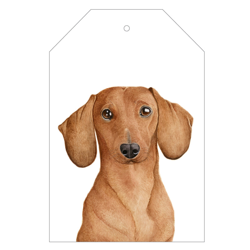 tan dachshund sausage dog gift tag with twine string on blue background