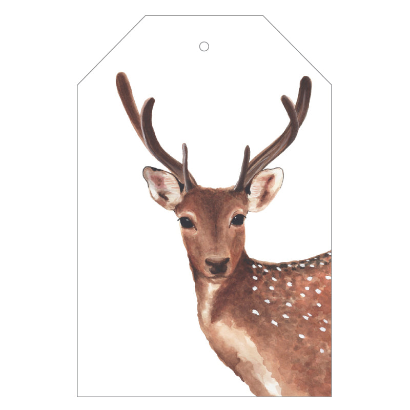 Wild Animals Gift Tags Pack