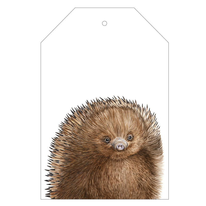 echidna australian animal gift tag with twine string on pink background