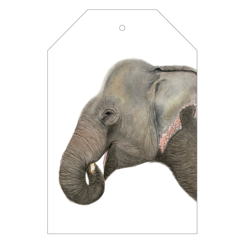 elephant wild animal gift tag with twine string on mustard background