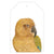 kea parrot new zealand bird painted on gift tag with twine string on green background