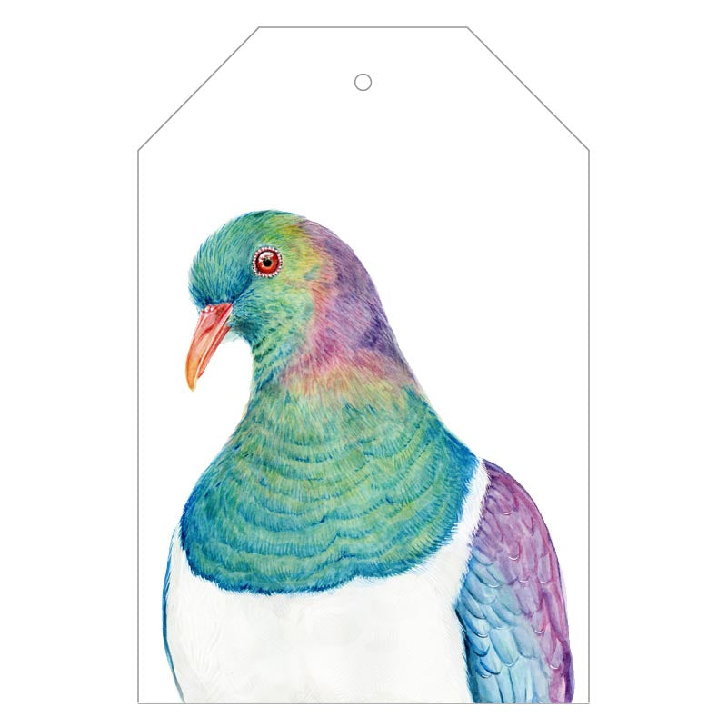 kereru new zealand pigeon painted on gift tag with twine string on green background