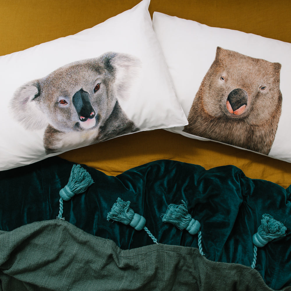 Koala pillow pet store