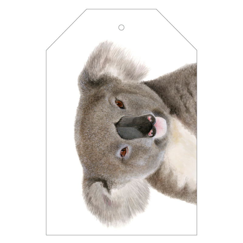 koala australian animal gift tag with twine string on pink background