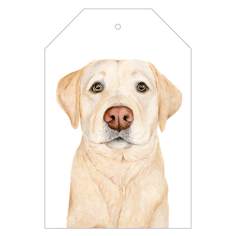 labrador retriever dog gift tag with twine string on blue background