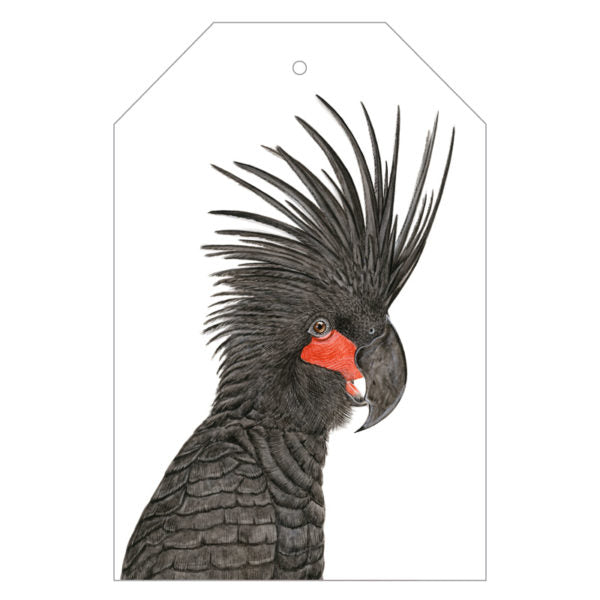 palm cockatoo australian bird gift tag with twine string on green background
