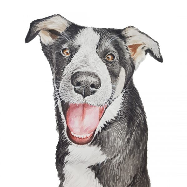 Pet Portraits - For Me By Dee
