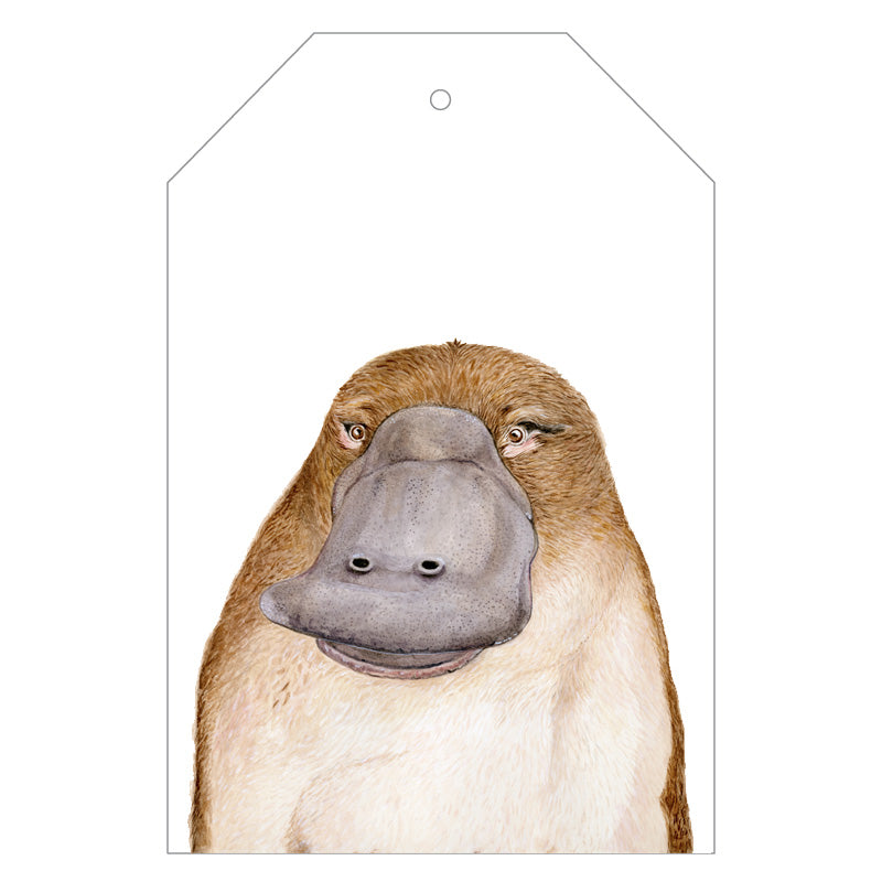 platypus australian animal gift tag 