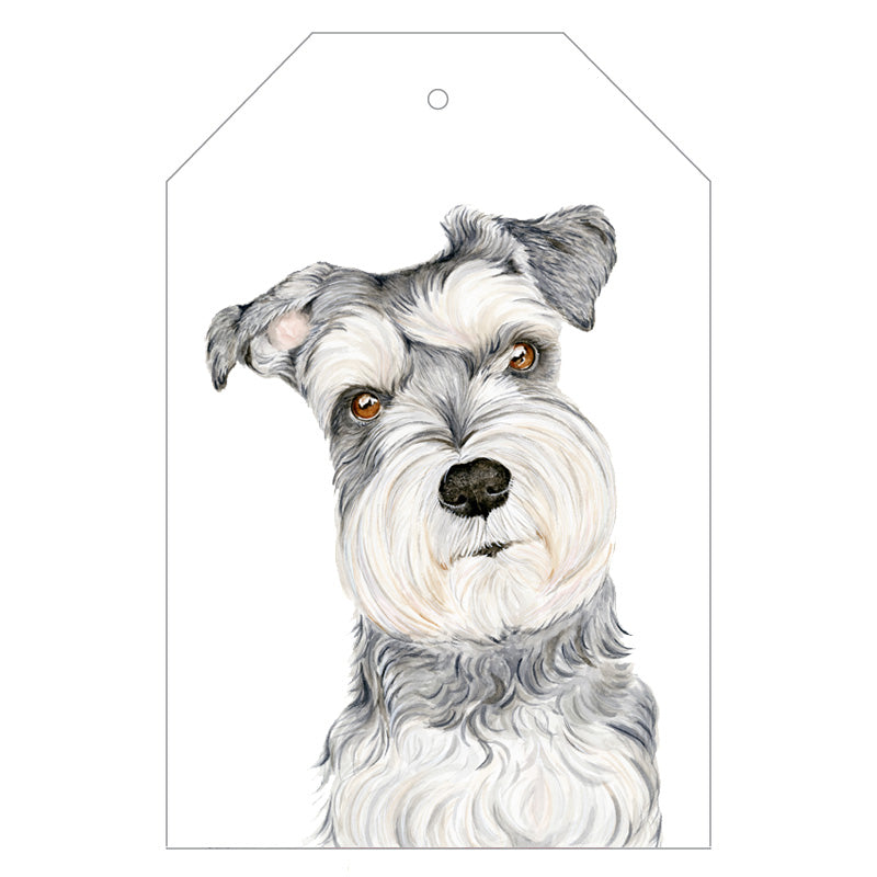 salt and pepper schnauzer dog gift tag with twine string on blue background