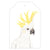 sulphur crested cockatoo australian bird gift tag with twine string on green background