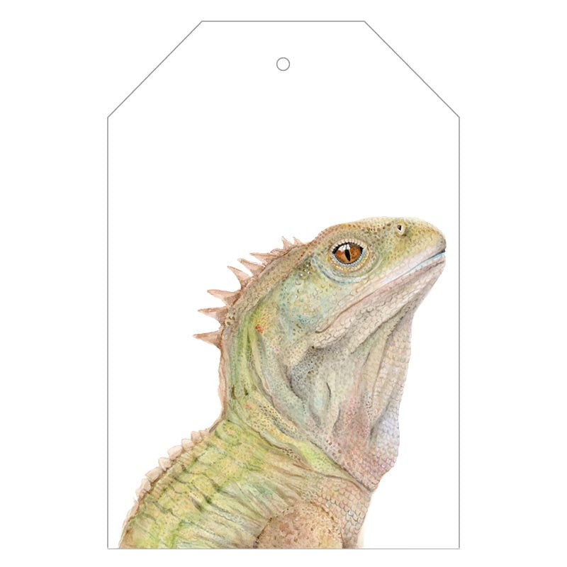 tuatara new zealand lizard painted on gift tag with twine string on mustard background