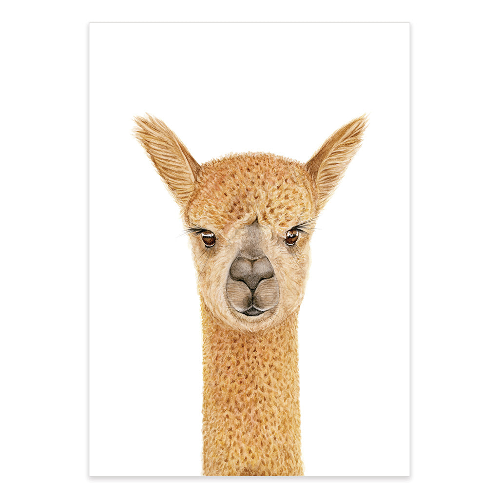 alpaca animal watercolour artwork print