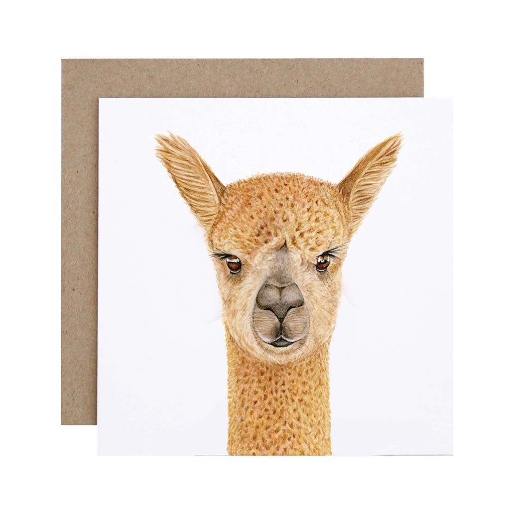 Square white greeting card with alpaca watercolour artwork and recycled kraft envelope