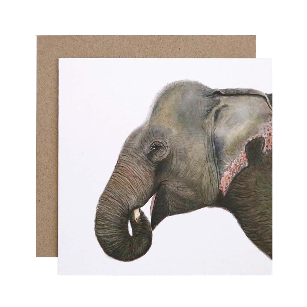 Square white greeting card with elephant watercolour artwork and recycled kraft envelope