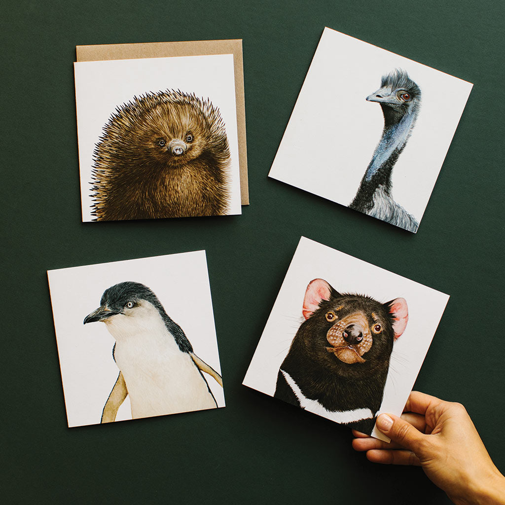 four square white greeting cards with australian animals echidna emu penguin tasmanian devil watercolour artwork and recycled kraft envelope