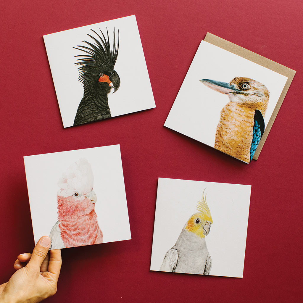 four square white greeting cards with australian birds palm cockatoo kookaburra galah cockatiel watercolour artwork and recycled kraft envelope
