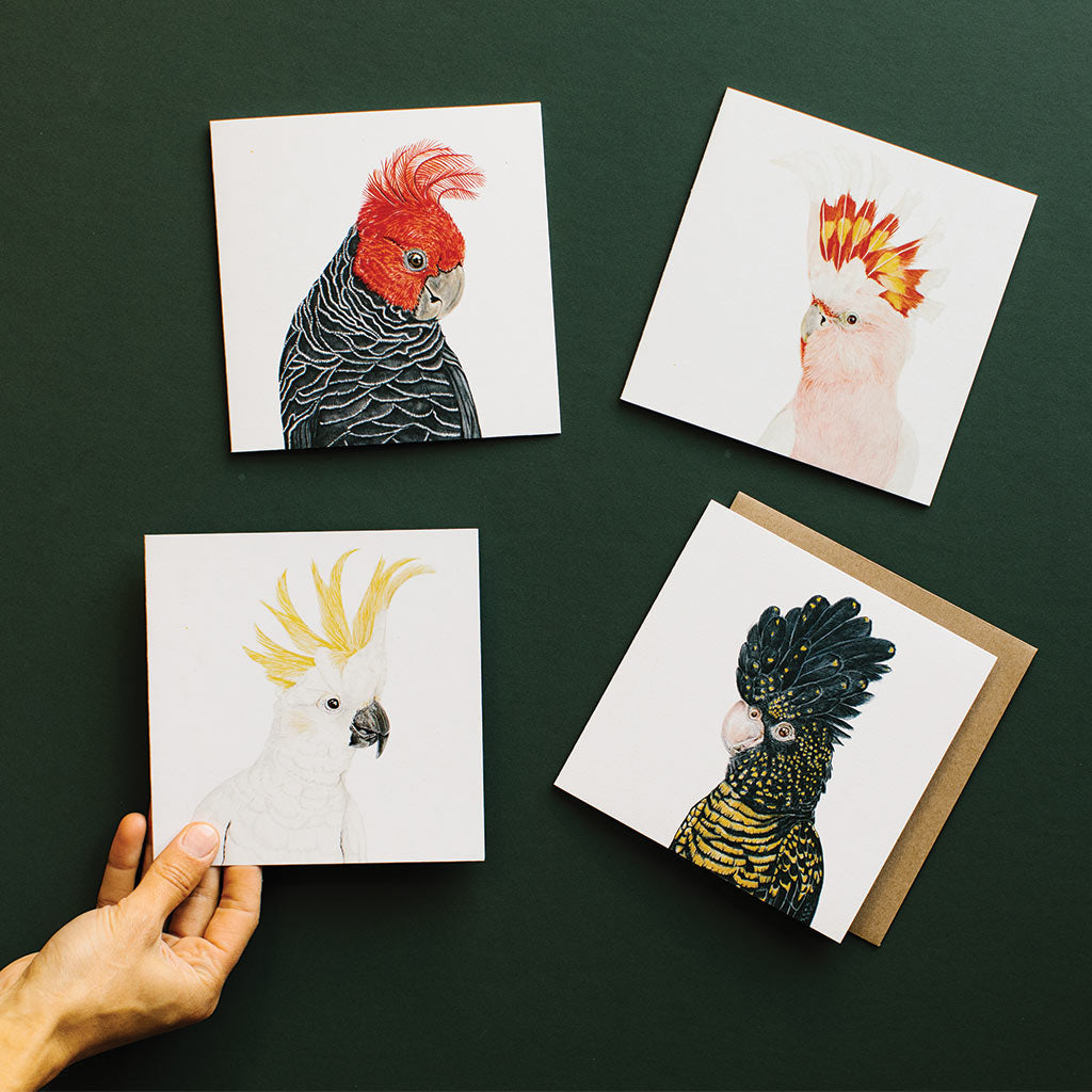 four square white greeting cards with australian birds gang-gang cocktoo major mitchell&#39;s cockatoo sulphur crested cockatoo red-tailed black cockatoo watercolour artwork and recycled kraft envelope