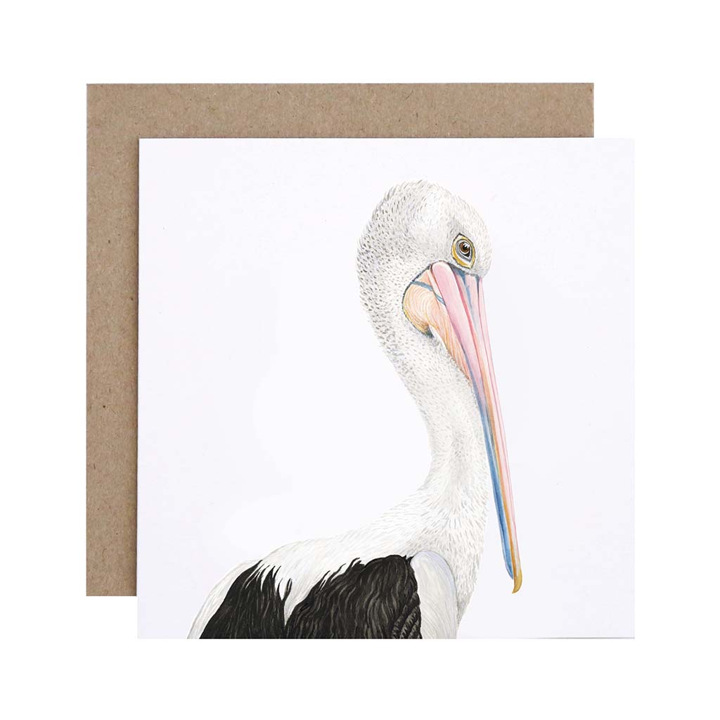 Square white greeting card with australian pelican watercolour illustration and recycled kraft envelope