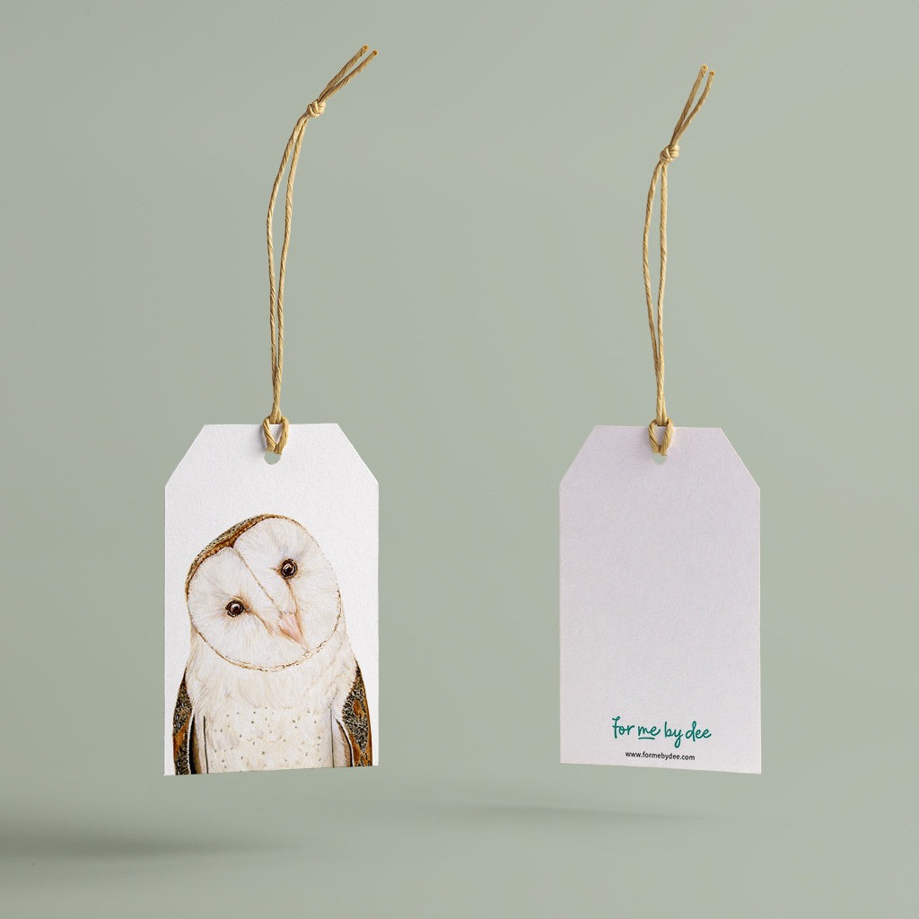 australian barn owl painted on gift tag with twine string on green background