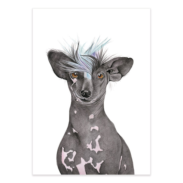 Tempeh the Chinese Crested Dog For Me By Dee
