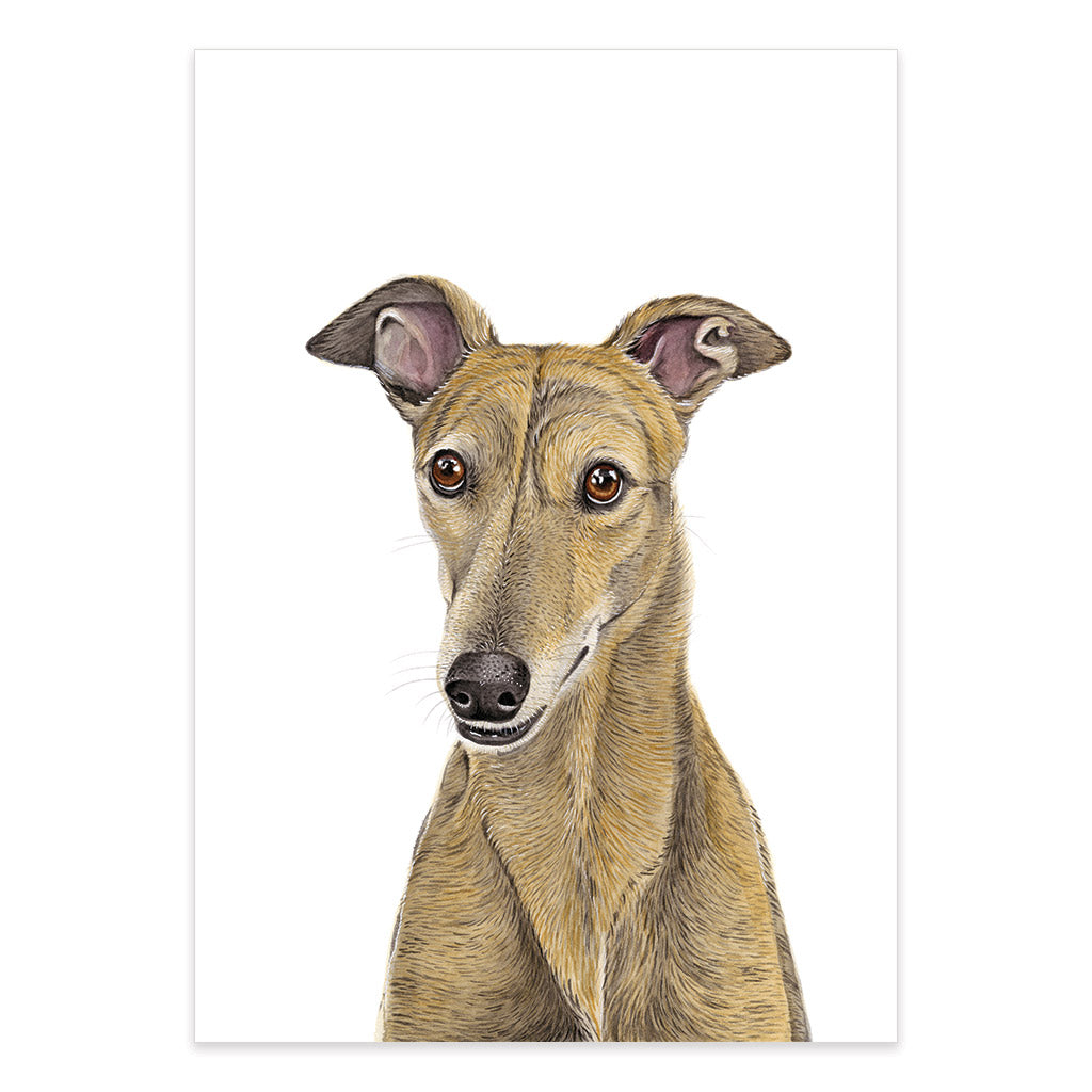 brindle greyhound dog watercolour artwork print