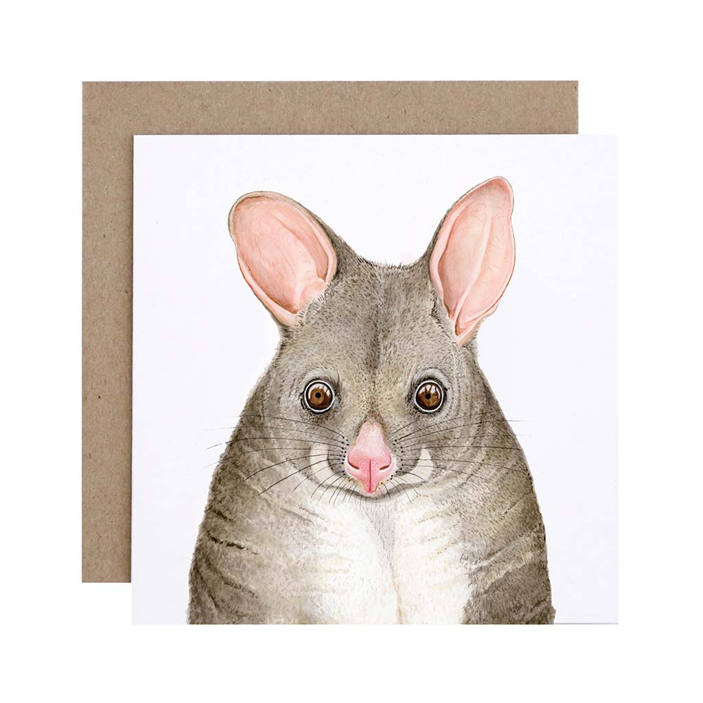 Square white greeting card with possum watercolour illustration and recycled kraft envelope
