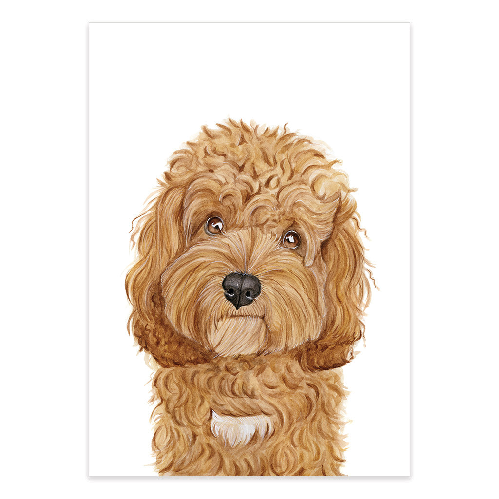 cavoodle dog watercolour artwork print