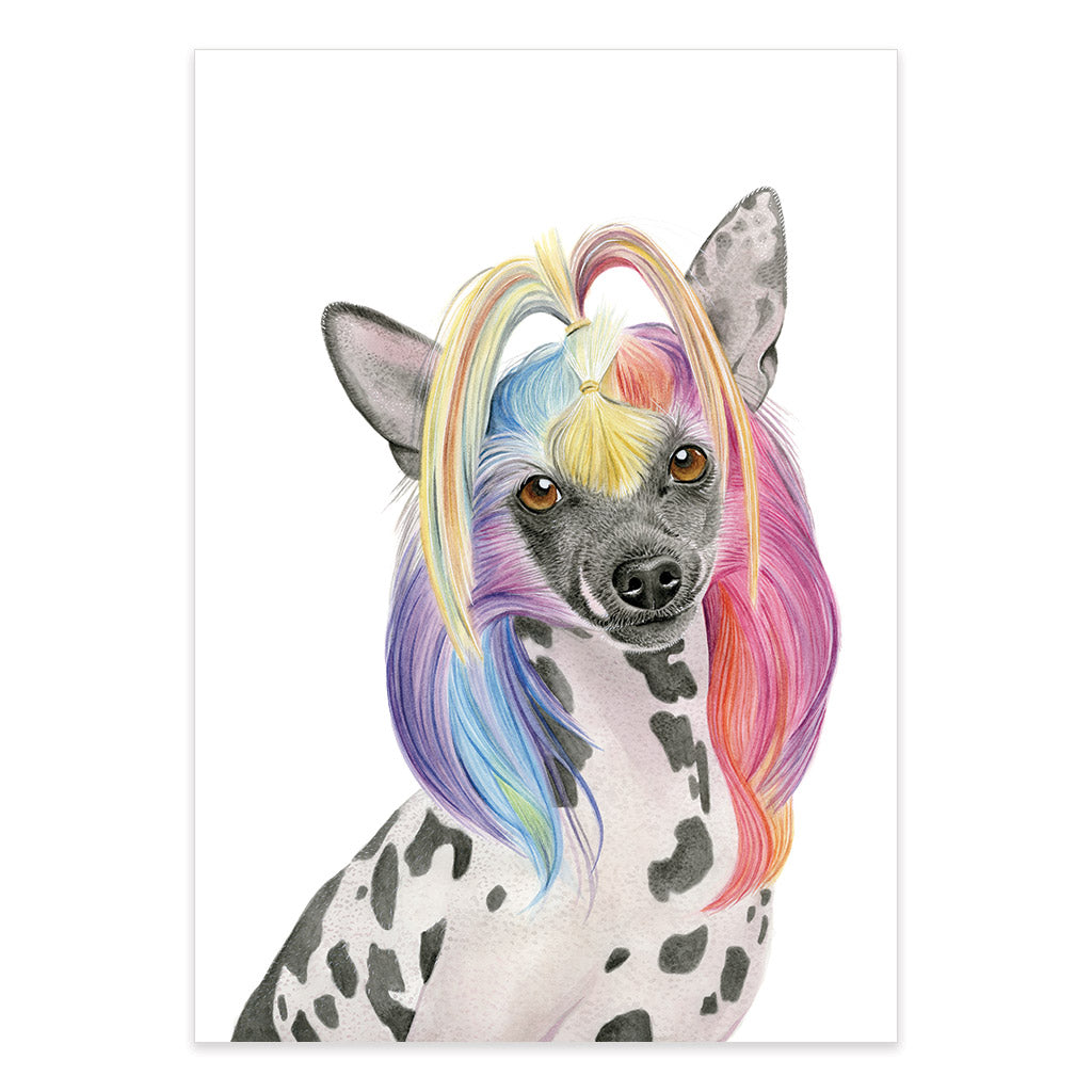 chinese crested dog rainbow hair watercolour artwork print