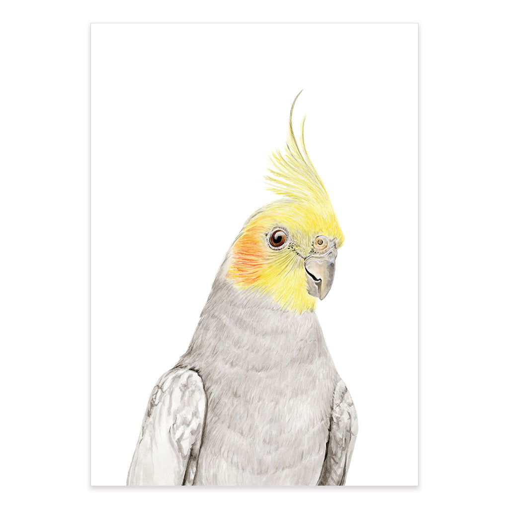 cockatiel watercolour artwork print