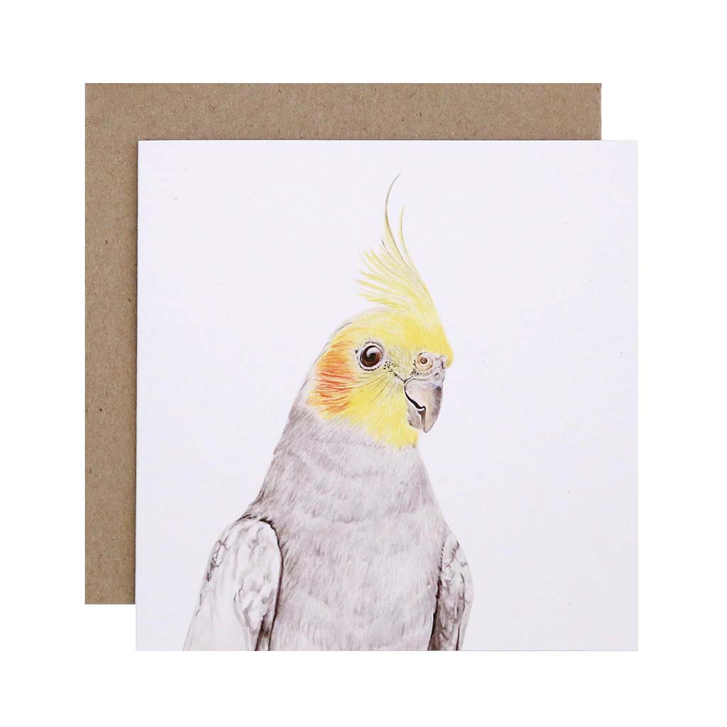 Square white greeting card with cockatiel watercolour artwork and recycled kraft envelope