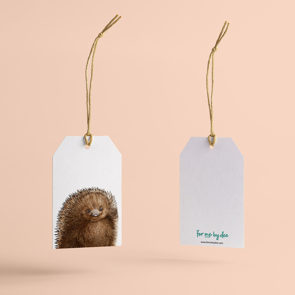 echidna australian animal gift tag with twine string on pink background