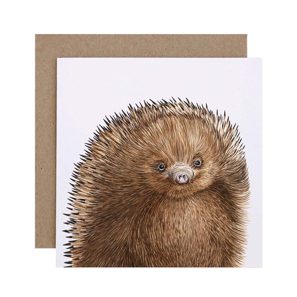 Square white greeting card with echidna watercolour illustration and recycled kraft envelope