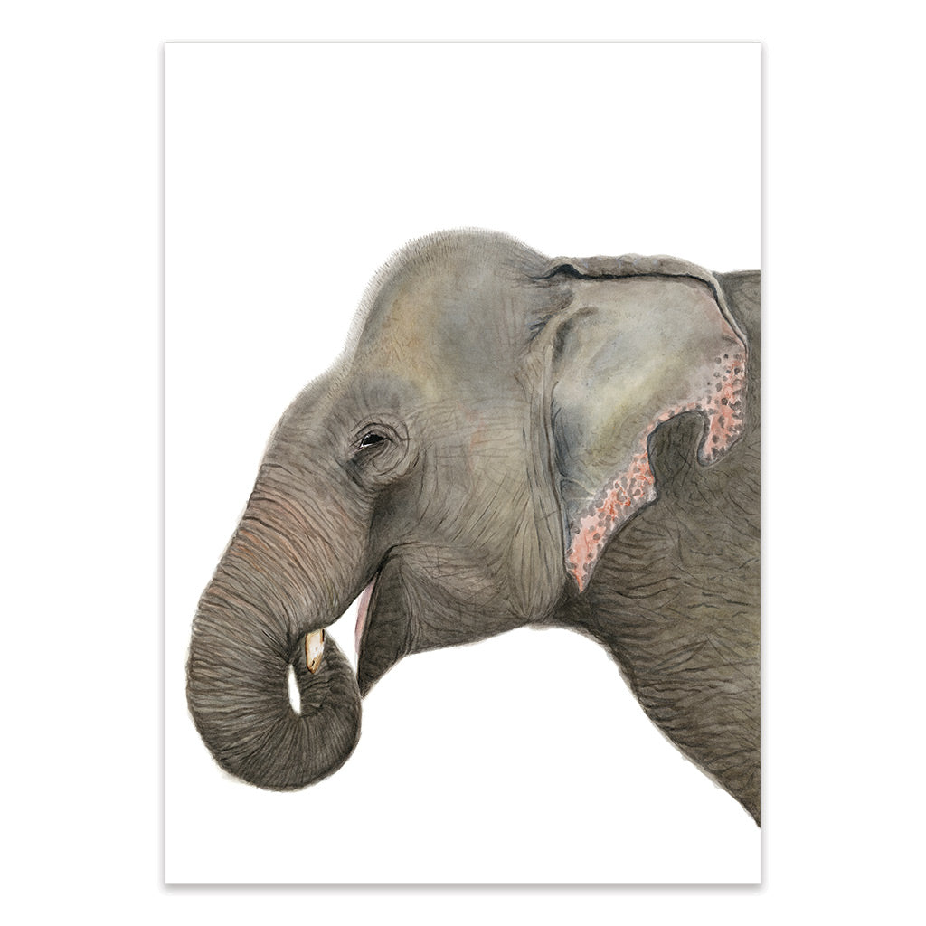 Elliot the Elephant Print