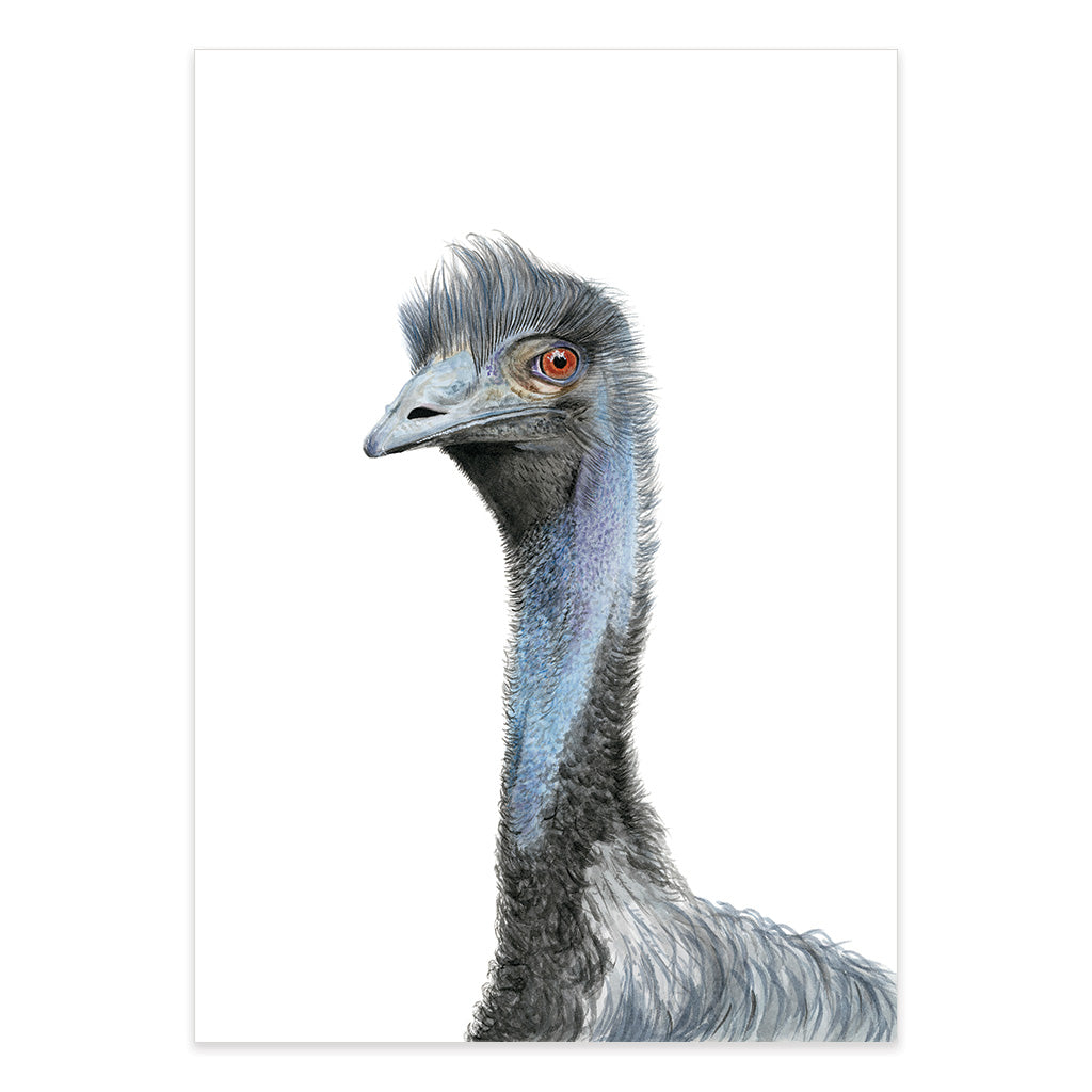 emu watercolour artwork print