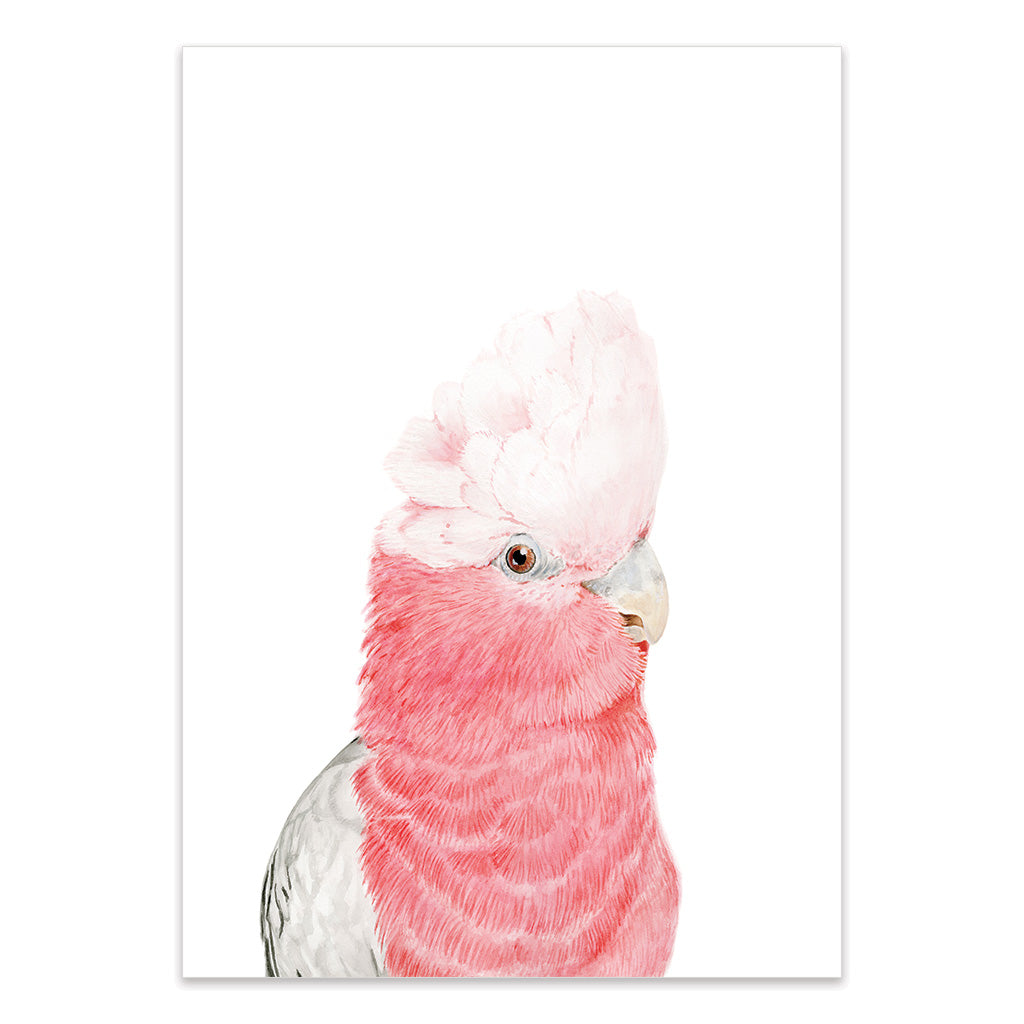 galah watercolour artwork print