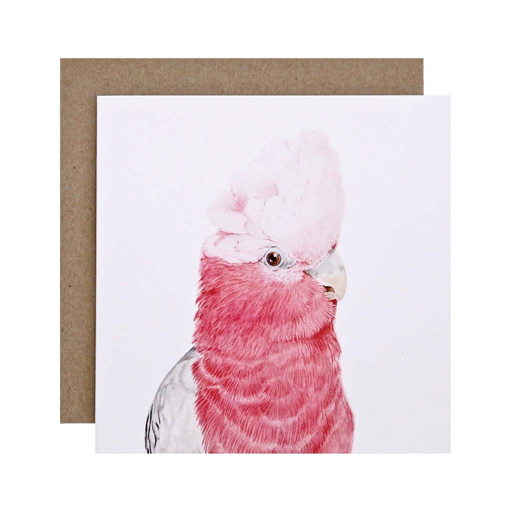 Square white greeting card with galah watercolour artwork and recycled kraft envelope