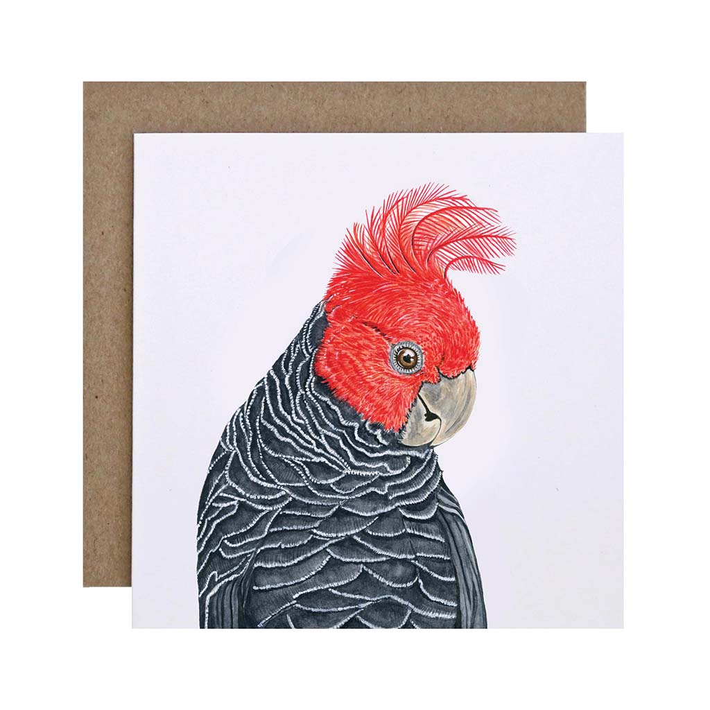 Square white greeting card with gang-gang cockatoo watercolour illustration and recycled kraft envelope