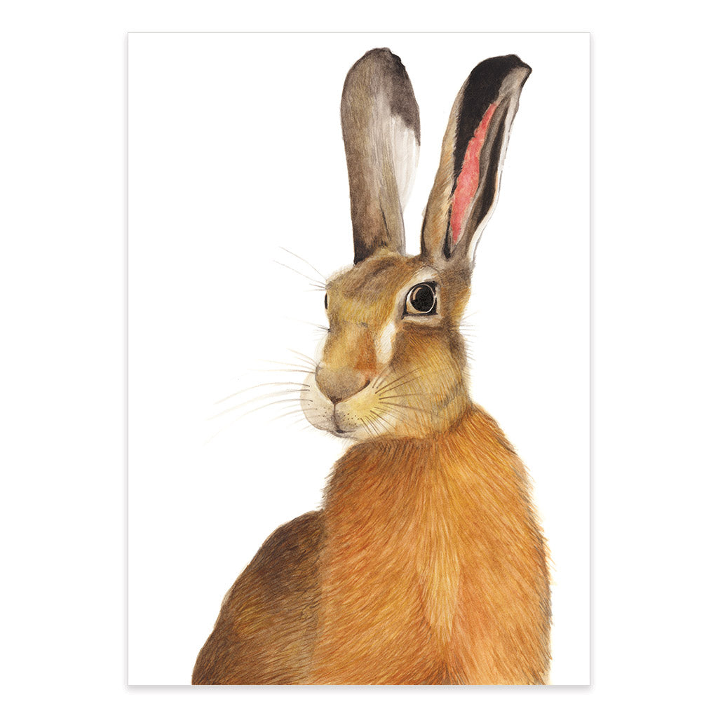 hare watercolour artwork print