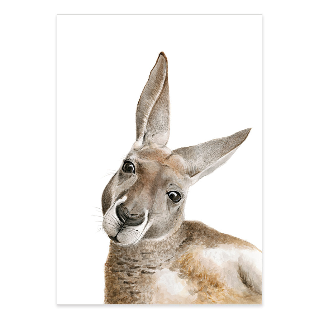 kangaroo watercolour artwork print
